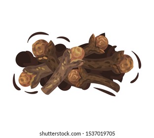 Pile of Dried Clove Flower Buds Vector Illustrated Set