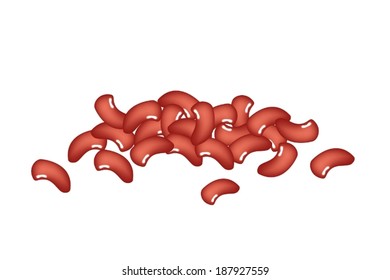 A Pile of Dried Kidney Beans on White Background, Good Source of Dietary Fiber, Vitamins and Minerals. 