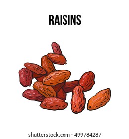 Pile of dried raisins, sketch style vector illustration isolated on white background. 