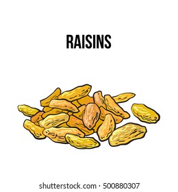 Pile of dried white raisins, sketch style vector illustration isolated on white background. Drawing of gold raisins, natural sweets, vegetarian snack