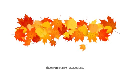 Pile of fallen leaves. Decorative line of orange, yellow and red autumn leaves.