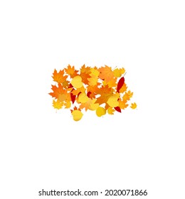 Pile of fallen leaves. Heap of orange, yellow and red autumn leaves.