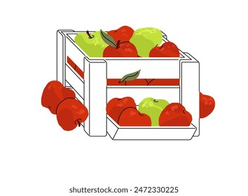 Pile of fresh fruit in basket for selling in local farmer market. Red and green apples in crate. Farm products, garden harvest in wooden box. Flat isolated vector illustration on white background