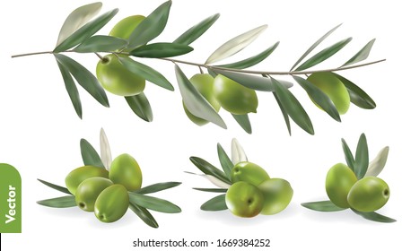 Pile of green olives with leaves, olive branch on isolated background. 3d realistic vector illustration set of food.