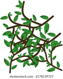 pile of green stalks and leaves