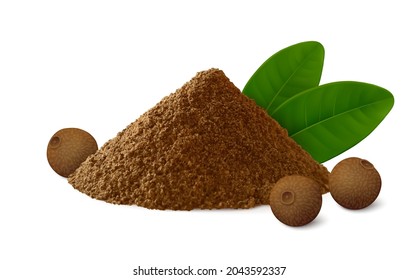 Pile of ground allspice (Jamaica pepper) with several peppercorns isolated on white background. Realistic vector illustration