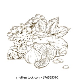 Pile of hand drawn cheese with grape and fig. Vector hand drawn illustration.