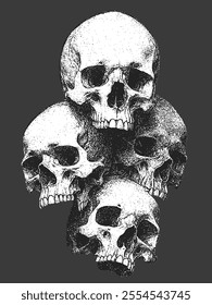 Pile of Human Skull Bones in Black and White