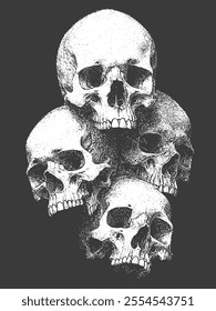 Pile of Human Skull Bones in Black and White