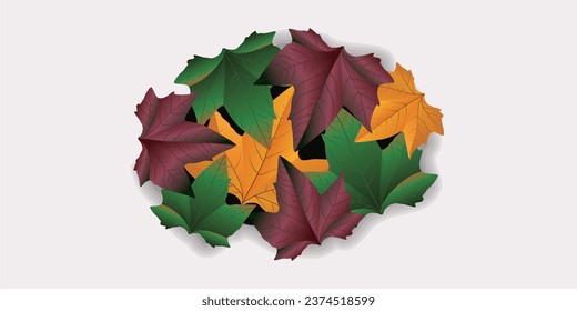 pile of leaves of the same type but different colors