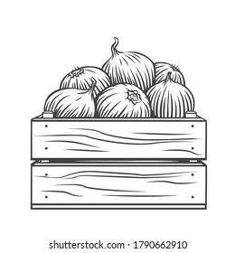 Pile of onion bulbs in wooden crate engraved vector illustration. Hand drawn harvest of onion vegetables, farm product.