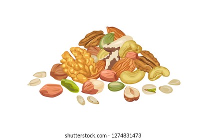 Pile of peeled nuts and seeds isolated on white background. Vector illustration of healthy food in cartoon flat style.