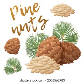 A pile of pine nuts, pine cones and branches vector illustration. Seeds of pine tree cartoon icon isolated on whit background