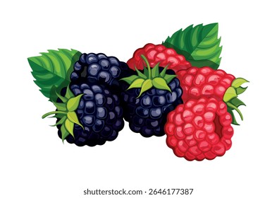 Pilha de framboesas e amoras em estilo cartoon. Ilustração vetorial de amoras e framboesas frescas e suculentas descascadas e com caules, folhas, isoladas sobre fundo branco. Bagas sazonais. 