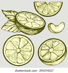 Pile of sliced oranges. Vector Image