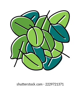 vector de icono de color de espinaca de pila. signo de espinaca de pila. ilustración de símbolo aislado