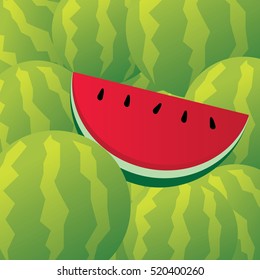 pile of watermelons-vector