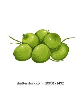 Pile of young green coconuts vector illustration.