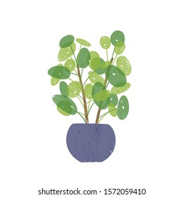 Pilea in blue ceramic pot flat vector illustration. Exotic home plant, domestic decorative greenery. Tropical indoor flower. Beautiful thermophilic plant in flowerpot isolated on white background.