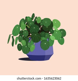 Pilea ( Chinese money plant) simple flat illustration