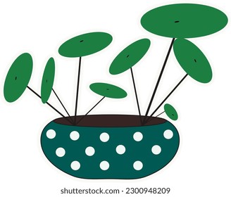 Pilea houseplant. in a green oval pot with white circles. wind. white border sticker