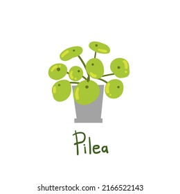 Pilea. Houseplants vector illustrations. Urban jungles. Plants are friends. Culd be used for web, notebook, phone case, etc