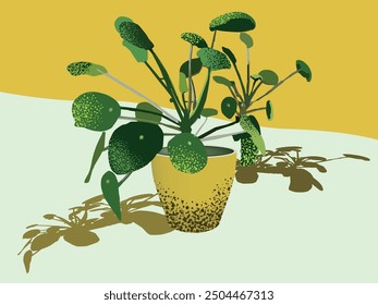 Pilea peperomioides, or Chinese Money Plant, features round, coin-shaped leaves on tall stems. Thrives in bright, indirect light and adds a stylish touch to any space.
