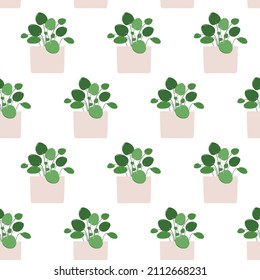 Pilea. Vector seamless pattern of a houseplant in a pot on a white background.