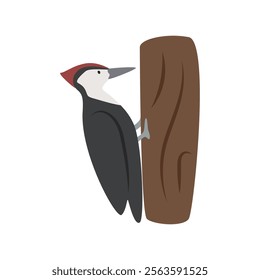 Pileated woodpecker cartoon clipart. Woodpecker vector illustration in flat style. Hand-drawn wild animal concept