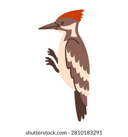 Pileated woodpecker profile bird vector illustration. Flat design woodland forest bird climbing isolated on white background. Great for nature birdwatching, wildlife biology, and education