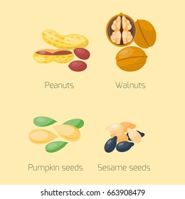 Piles of different nuts pistachio hazelnut almond peanut walnut chestnut tasty seed vector illustration