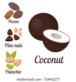 Piles of different nuts pistachio peanut walnut tasty seed vegetarian nutrition vector illustration