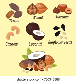 Piles of different nuts pistachio peanut walnut tasty seed vegetarian nutrition vector illustration