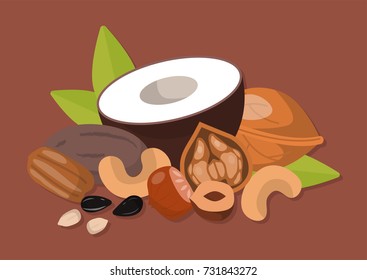 Piles of different nuts pistachio peanut walnut tasty seed vegetarian nutrition vector illustration