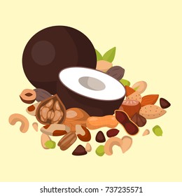 Piles of different nuts pistachio peanut walnut tasty seed vegetarian nutrition vector illustration