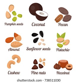 Piles of different nuts pistachio peanut walnut tasty seed vegetarian nutrition vector illustration