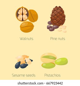 Piles of different nuts pistachio walnut tasty seed vegetarian nutrition vector illustration