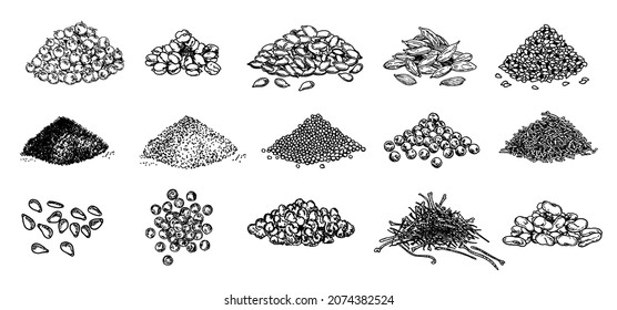 Montones de especias. Pimienta negra, semillas de sésamo, semillas de amapola, semillas de alcahuelas, azafrán, marjoram, comino, cardamomo. Las especias están puestas. Acondicionamiento natural e ingredientes de cocina. Esbozo vectorial sobre fondo blanco