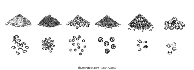 Piles of spices sketch. Black pepper peas, sesame seeds, poppy seeds, caraway seeds. Spices set. Natural seasoning and cooking ingredient. Vector isolated line art illustration on white background