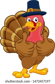 Pilgrim Turkey Thanksgiving bird animal cartoon character wearing a pilgrims hat and giving a thumbs up
