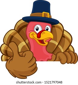 Pilgrim Turkey Thanksgiving bird animal cartoon character wearing a pilgrims hat. Peeking over a background sign and giving a thumbs up