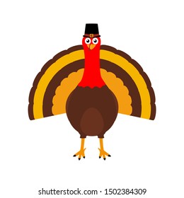 Pilgrim's Turkey for Thanksgiving Day