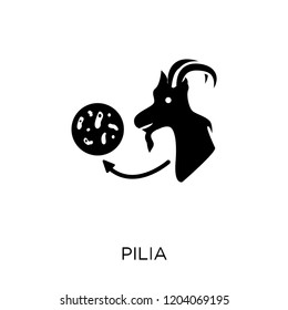 Pilia icon. Pilia symbol design from Diseases collection. Simple element vector illustration on white background.