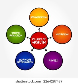 Concepto de texto del mapa de los pilares de la mente de la salud para presentaciones e informes