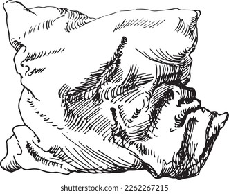 Pillow hand drawn. Sketch draw by black ink, furniture draw
