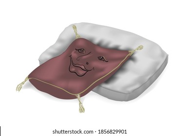pillow on pillow. pillows on a white. two pillows in red and white color