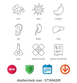 Pills, medical plaster and prescription icons. Virus, stomach and liver linear signs. Ear, kidney and lab bublb icons. New tag, shield and calendar web icons. Download arrow. Vector