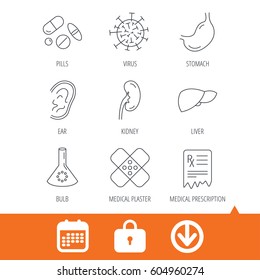 Pills, medical plaster and prescription icons. Virus, stomach and liver linear signs. Ear, kidney and lab bublb icons. Download arrow, locker and calendar web icons. Vector