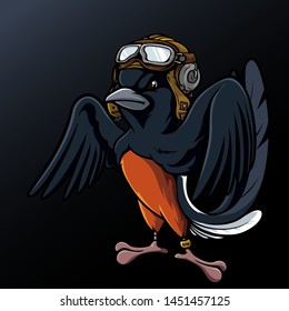 Pilot Bird mascot Characters mascot