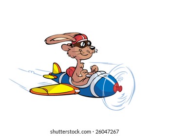 Pilot rabbit